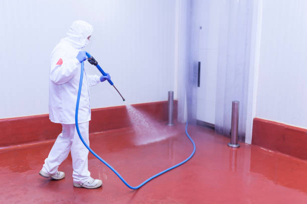 Best House Exterior Washing  in Exeter, CA